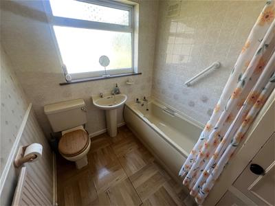 Picture 13